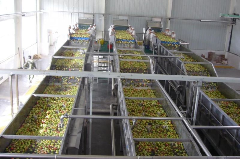 Apple Paste/Puree/Juice Processing Line/Processing Machine/Production Line