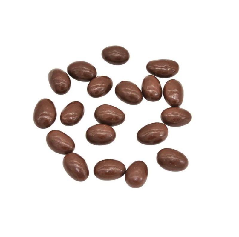 Sunflower Seeds Chocolate Making Coating Machine