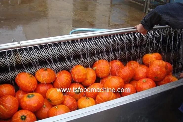 Vegetable Washer Tsxm-15 Pumpkin Brush Washing Machine