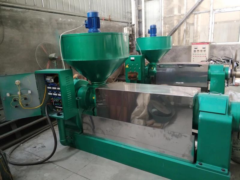 6yl Sunflower Oil Press