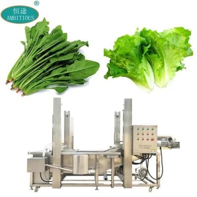 Automatic Industrial Leafy Vegetable Conveyor Washer Spinach Lettuce Washing Machine