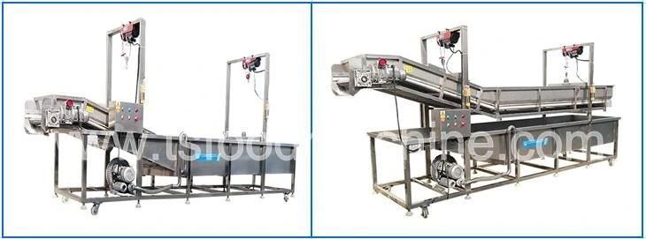 Tomato Washing Machine and High-Pressure Spray Washer Machine