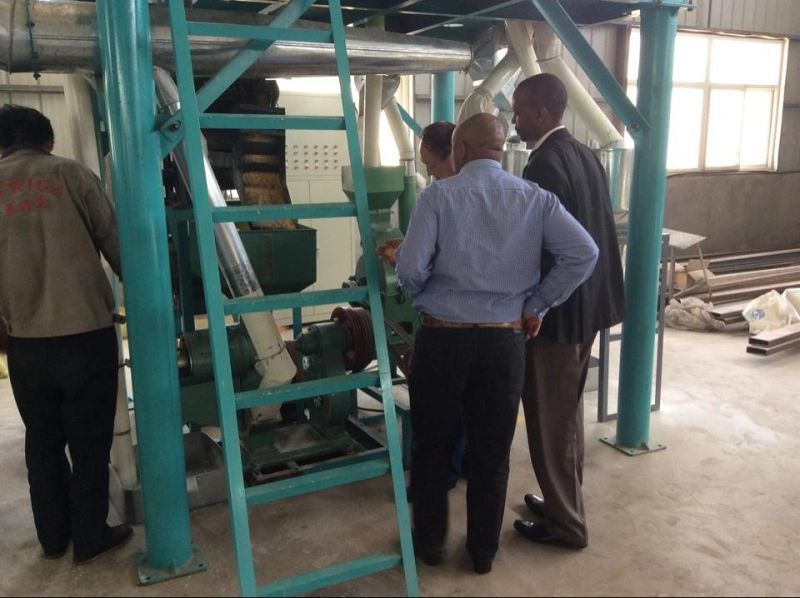 30t/24h Maize Milling Machine South Africa, Maize Flour Mill Plant