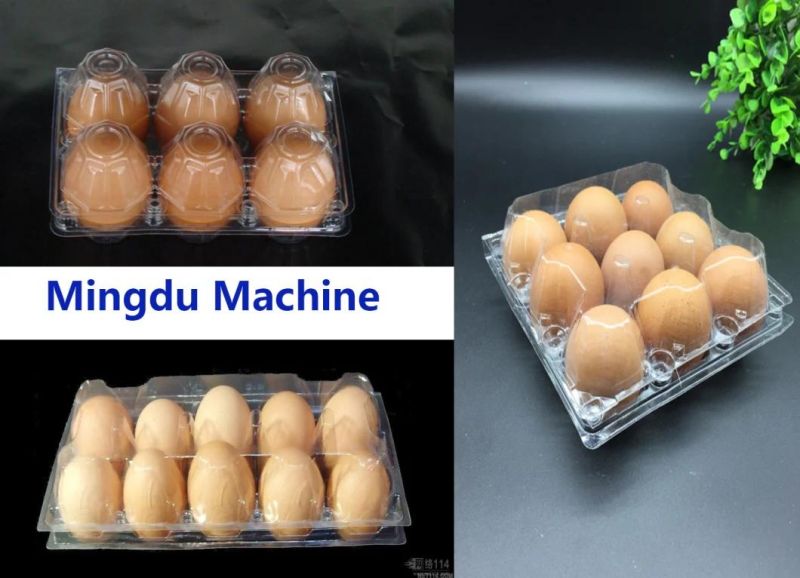 PS Egg Tray Making Machine