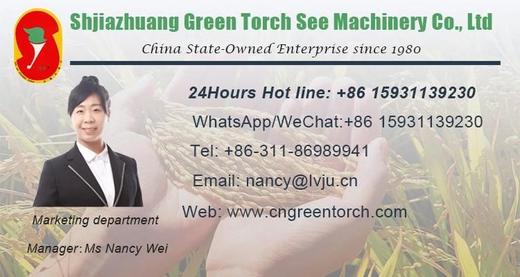 Wheat/Maize Seed Gravity Cleaning Machine Separator for Sale