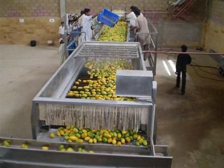 Shanghai Automatic Turnkey Fruit Juice Production Line