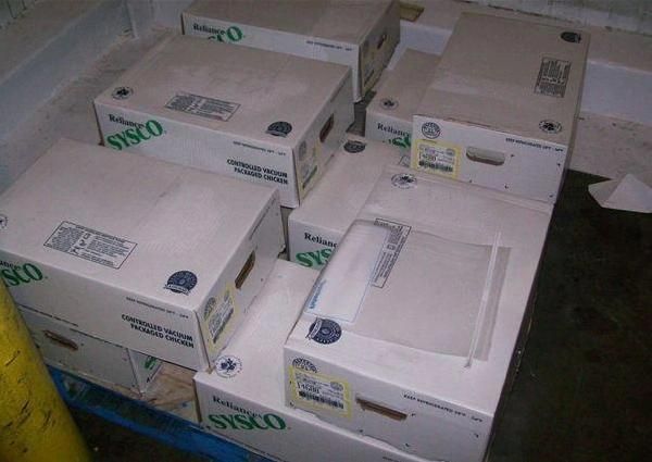Carton Packing Frozen Food Roller Conveyor Type Sanitising Tunnel