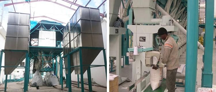 for Tanzania Market of 50t/D Maize Flour Mill