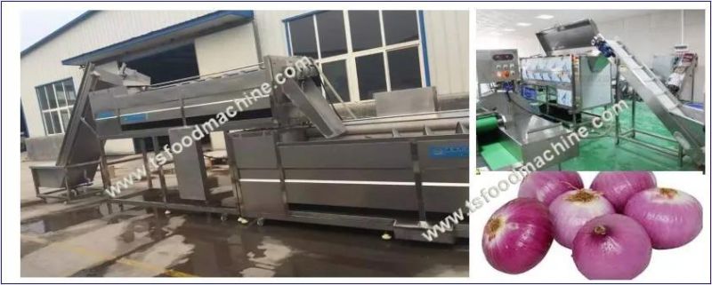 Onion Peeling Machine and Onion Potato Washing Machine