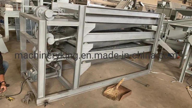 Peanut Kernel Sorting Machine Peanut Grading Machine Almond Sorting Machine