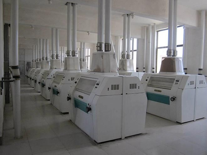 200t Wheat Flour Milling and Packing Machines