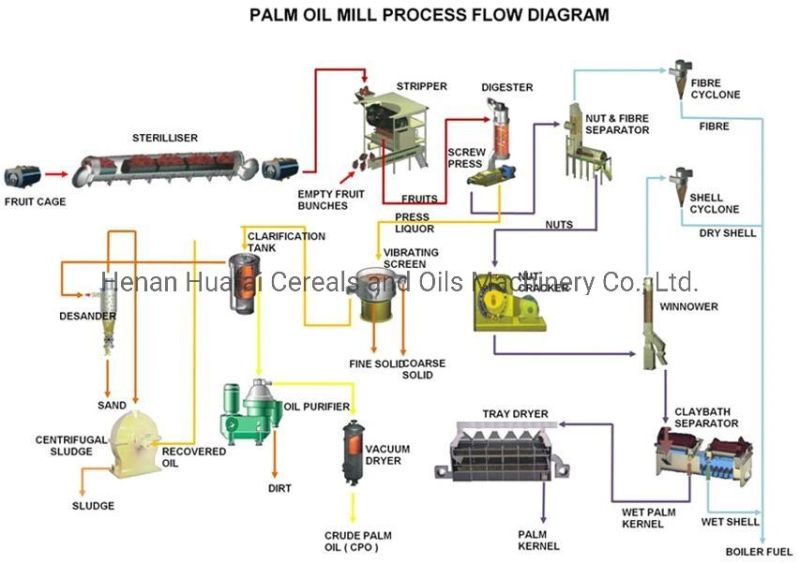 Hot Sale Palm Oil Cooking Oil Making Machine