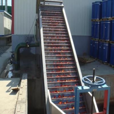 Tomato Paste Concentrate Production Line/ Tomato Paste Canned Filling Line