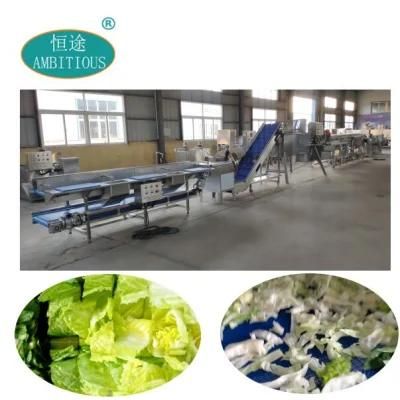 Vegetable Salad Production Line Processing Lines Cutting Washing Drying Lines Machine