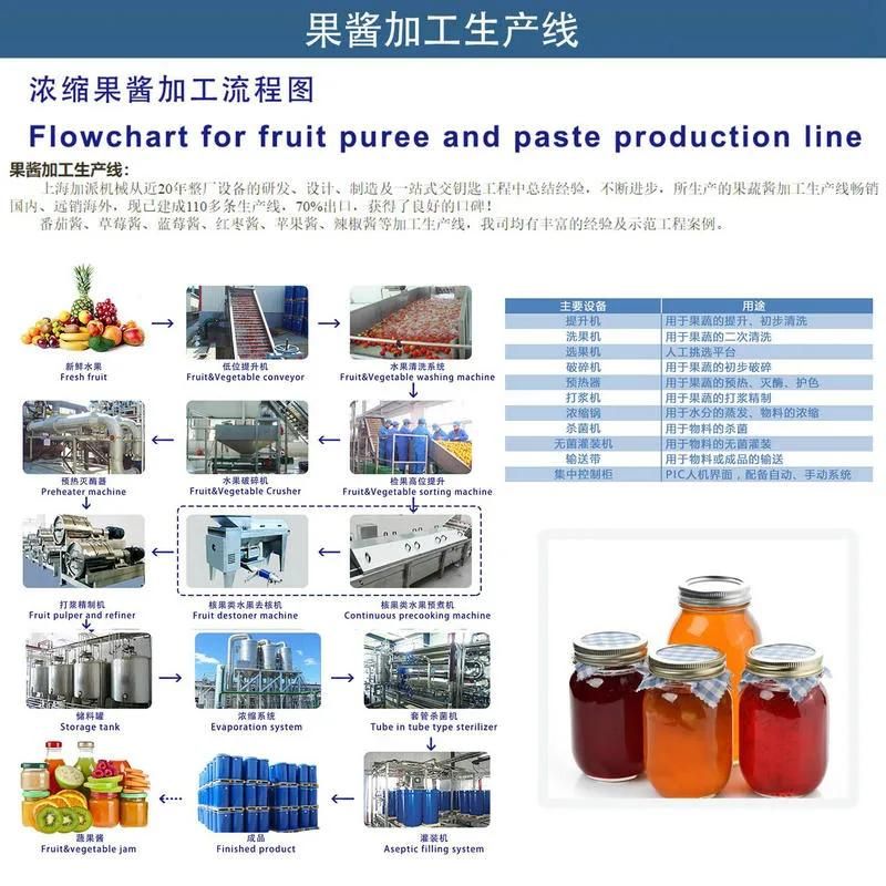 5ton Per Hour Capacity Fruit Pulp Production Line Machine