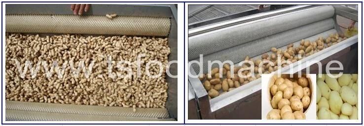 Brush Type Peanut Washing Machine and Walnut Washer Machine