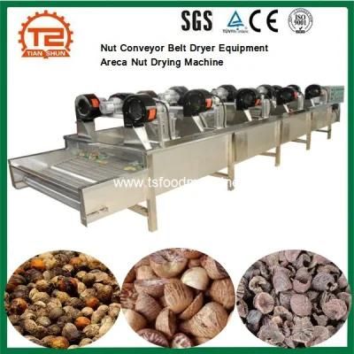 Nut Conveyor Belt Dryer Equipment Areca Nut Drying Machine