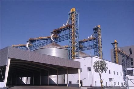 Oilseed Pretreatment Production Line with Best Quality/Soybean Pretreatment Machine