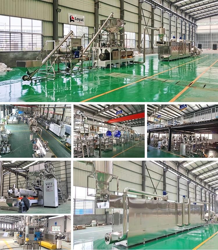 Dry Soybean Manufacturing Extruder Soya Protein Processing Machinery