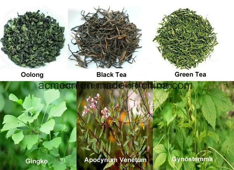 Hot Sale Green Tea Leaf Steaming Processing Machine