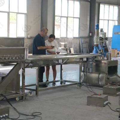 Automatic Papaya Pear Citrus Washing Cutting Drying Line with CE Certification