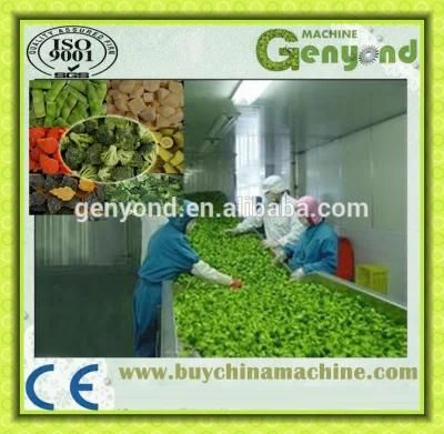 High Efficiency IQF Vegetables Process Plant