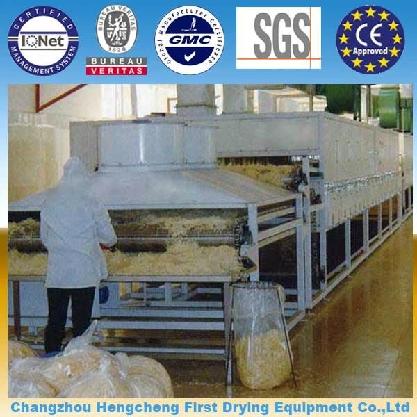 Low Cost China High Quailty Mushroom Dryer Machine (DW1.2X10)