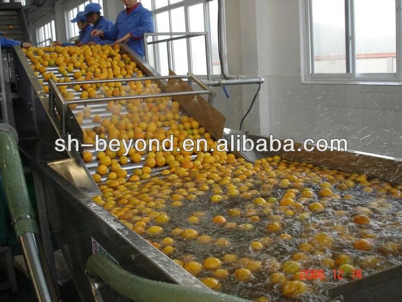 5t/H Natural Orange Juice Production Line