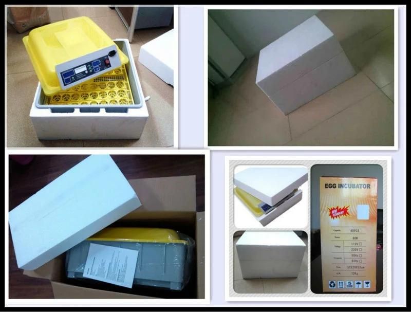 Hhd Hot Sale Automatic Chicken Egg Incubator for Sale