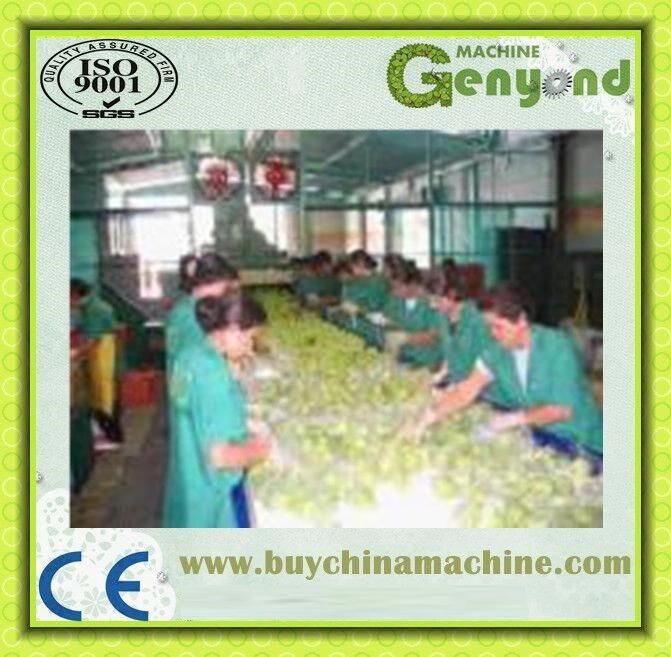 Turnkey Project Orange Apple Juice Processing Plant