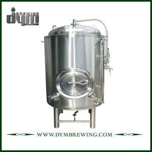 High Quality Cheap Bbt Customized 10bbl Bright Beer Tank (EV 10BBL, TV 12BBL)