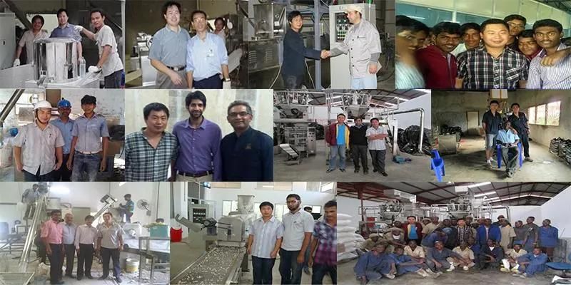 Dry Pet Dog Food Production Line Make Machine