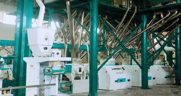 Hot Sale 80t/24h Wheat Processing Plant Flour Mill Machine Price