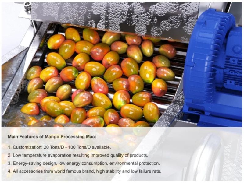 Mango Paste Processing Equipment Form Chase