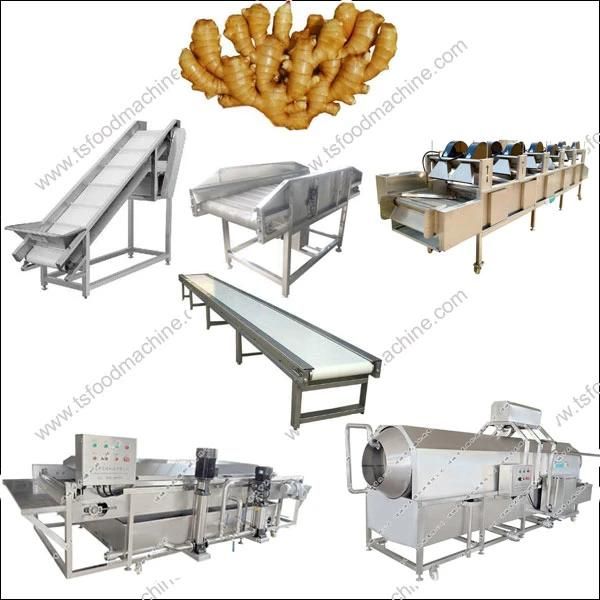 Ginger Processing Plant Fresh Ginger Washing Production Line