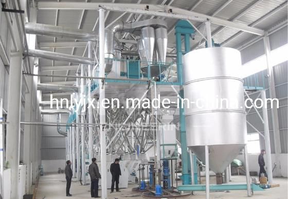 Yellow Maize Processing Line