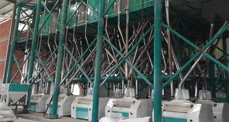 Automatic 300t Wheat Flour Mill Machine Wheat Processing Mill