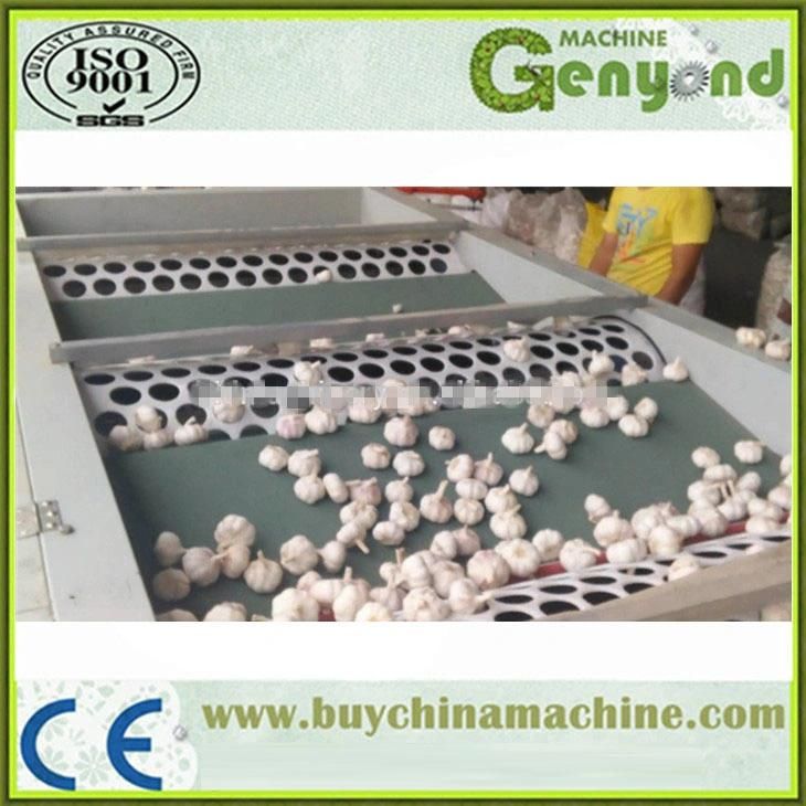 Stainless Steel Shallot Size Sorting Grading Machine