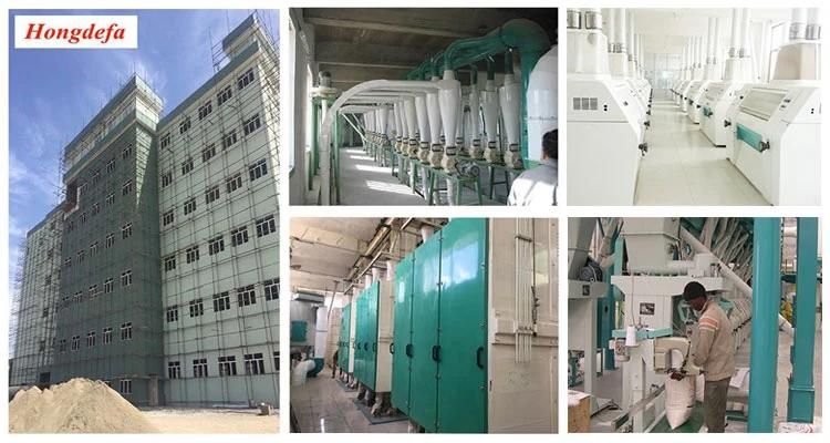 200t/24h Egypt Wheat Flour Milling Plant with European Standard