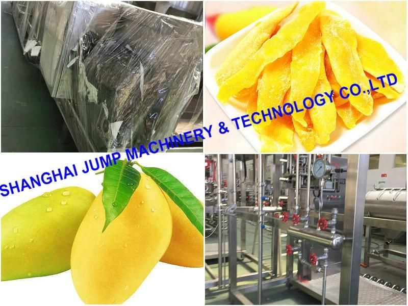 Mango Fruit Juice Processing Line & Fruit Juice Processing Plant