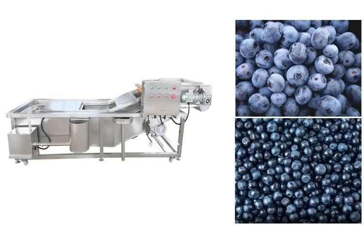 Industrial Cleaner Air Bubble Fruits Washing Machine Conveyer Belt Washer Fruit