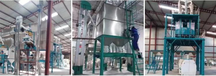 50tpd Maize Flour Processing Line Maize Mill Machine Produce Maize Flour Grits