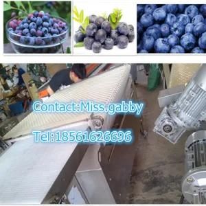 Blueberry Sorter/ Strawberry Sorter/ Blueberry Grading Machine