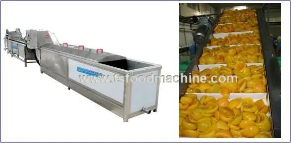 Vegetable Sterilization Line, Fruit Blancher and Vegetable Blanching Sterilizer Machine