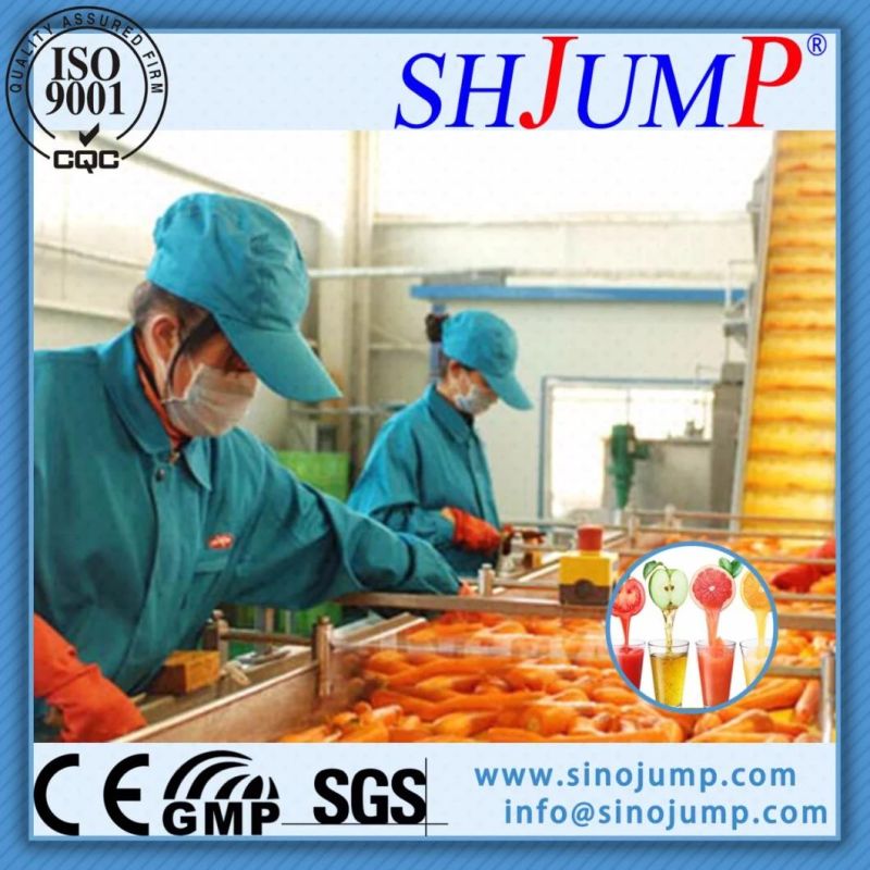 High Production Peach Juice/Syrup Production Line