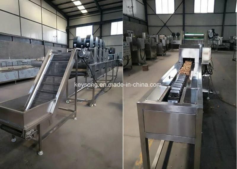 Mixed and Seasoning Machine Fried Potato Chips Seasoning Machine