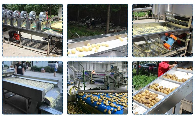 Complete Potato Chips Line Making Machine Chips