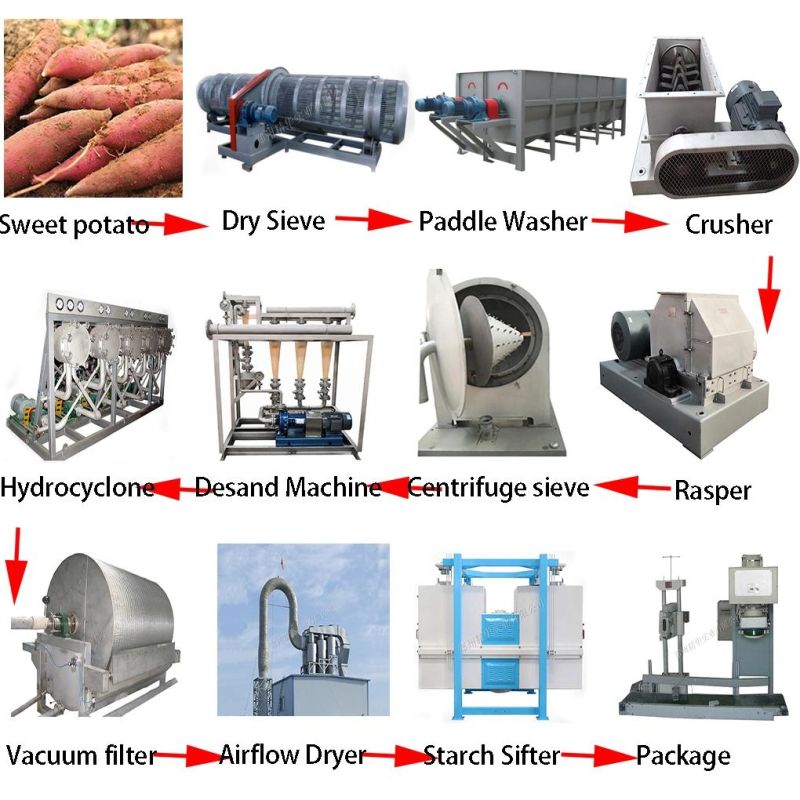 Customized Sweet Potato Starch Making Machine Cage Washing Machine Sweet Potato Desand Machinery