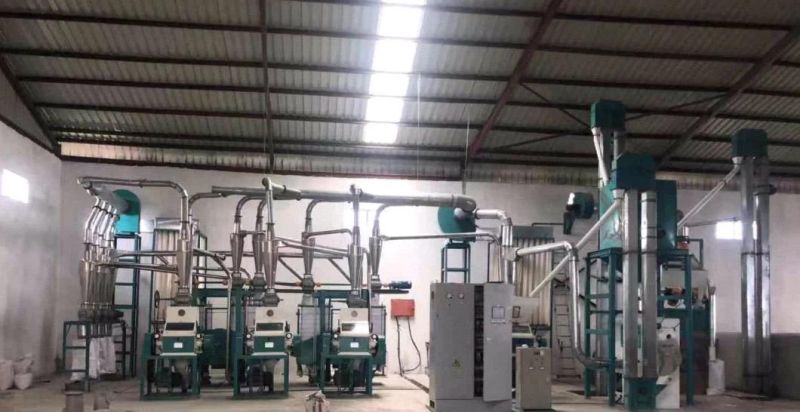 Nairobi Kenya 20t/24h Maize Corn Flour Grinding Milling Machine