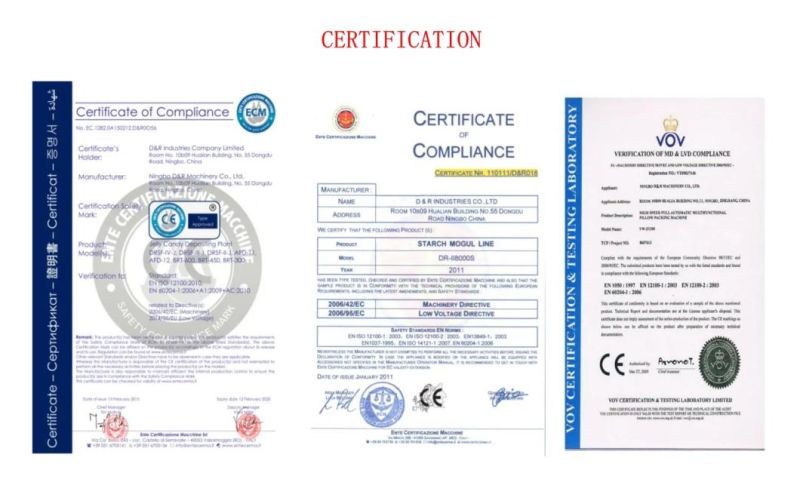 Dr-BLB-I Commercial Lollipop Depositing Line